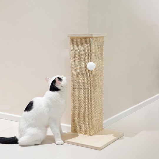 Roman Column Cat Ultimate Scratching Post (MOQ 10 Sets)