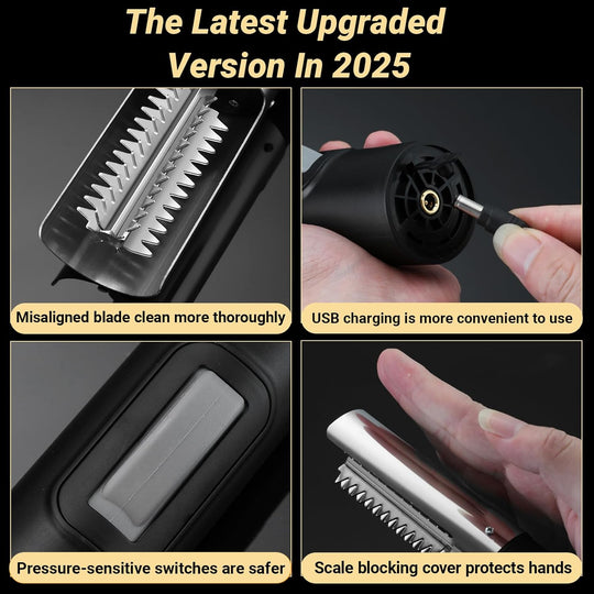 Stainless Steel Scraper Tool Kitchen Removing Metal (MOQ 10 Sets)