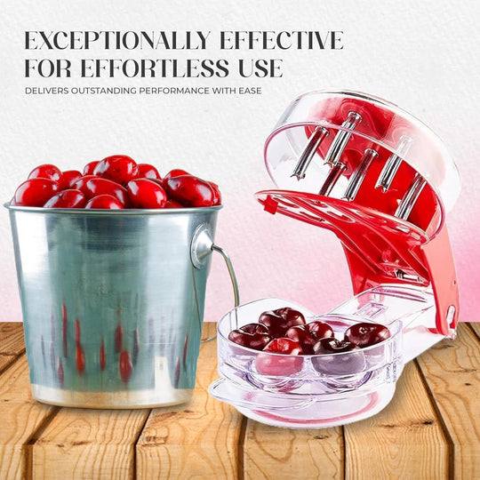 Stainless Steel Multi Pitters for Fast Prep & Easy Cleanup