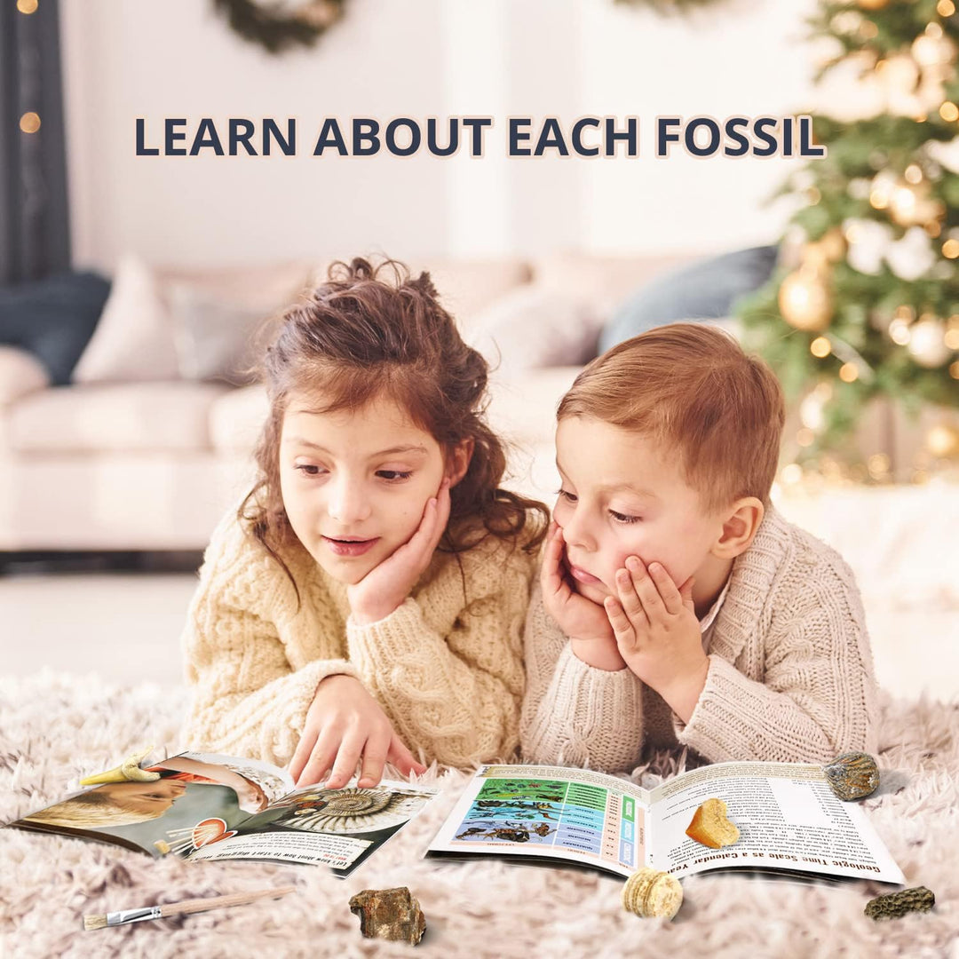 Fossil Dig Kit - Excavate 12 Prehistoric Fossils