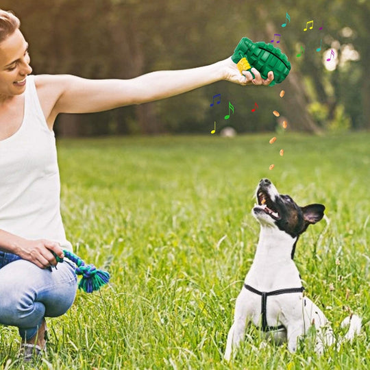 Dog Chew Toy for Aggressive Chewers, Durable Dog Toy for Large Dogs