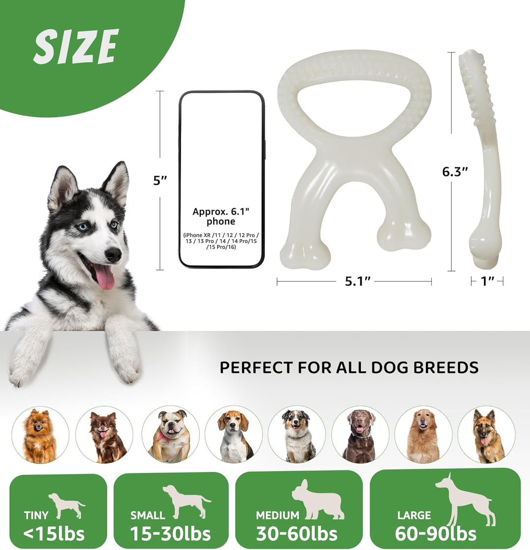 Aggressive Chewers, Indestructible Nylon Bone Dental Care Teeth Cleaning Chew Toy