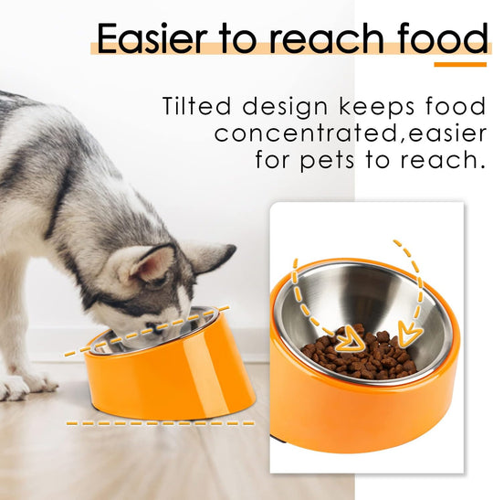 Slanted Bowl for Dogs and Cats Cup (MOQ 10 Sets)