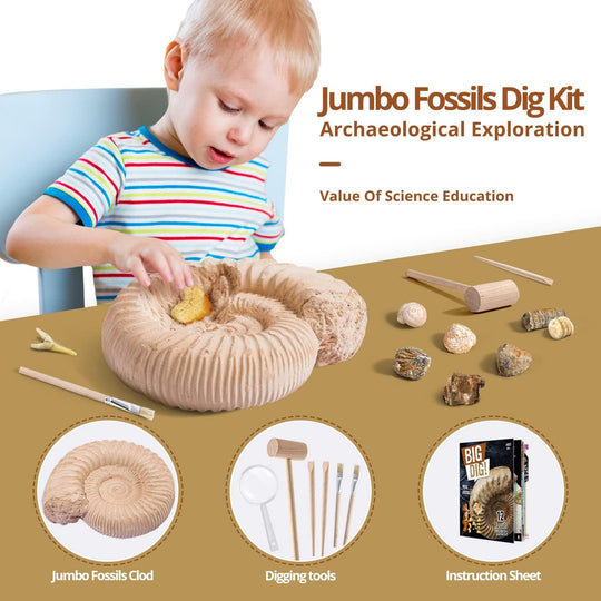 Fossil Dig Kit - Excavate 12 Prehistoric Fossils