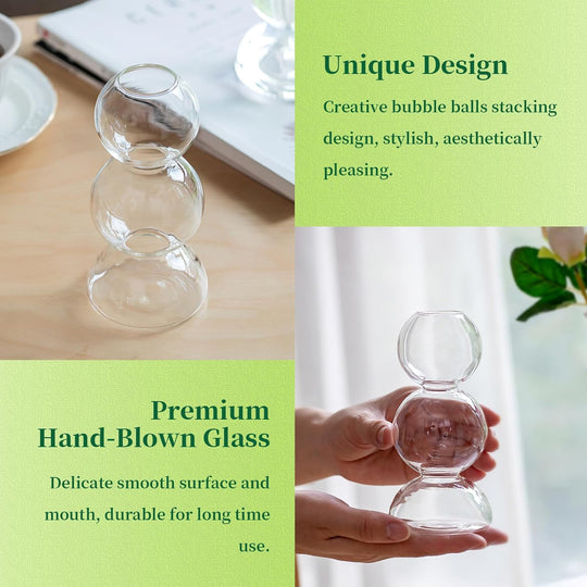 Glass Bubble Vases for Flowers 2pcs Unique Cute Single Flower Vase for Centerpieces
