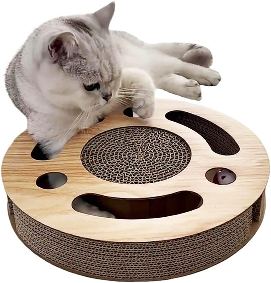 Cat Toy 3in 1 Kitten Puzzles Toys for Bored Indoor Cats