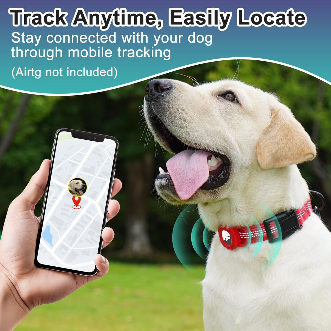 Dog Collar with AirTag Holder, Reflective Nylon, Quick Release Buckle (MOQ 10 Sets)