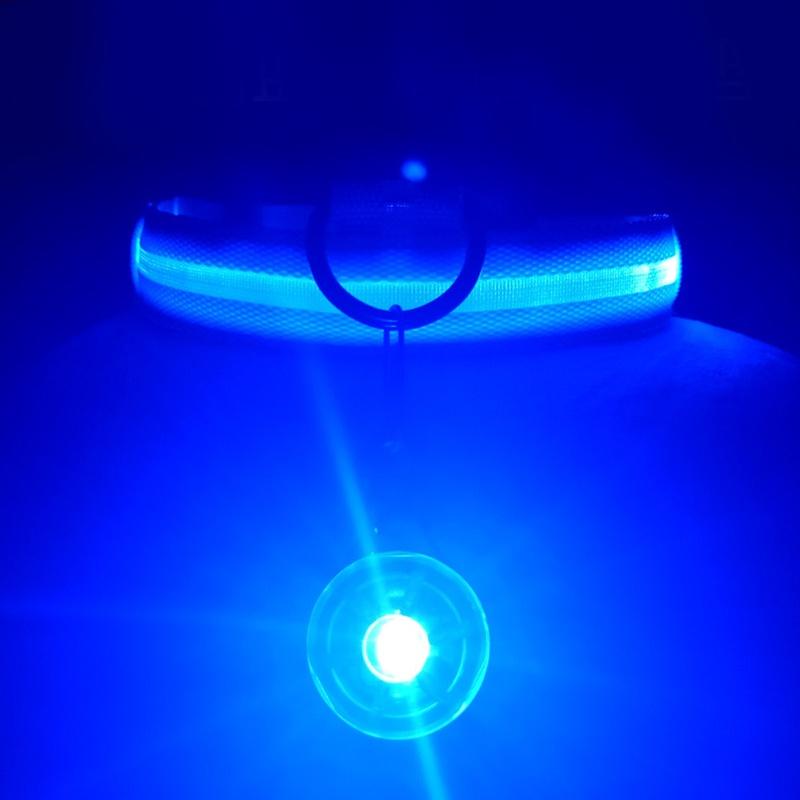 Reflective LED Light Puppy Collar Rechargeable Waterproof Glow in The Dark Dog Collars