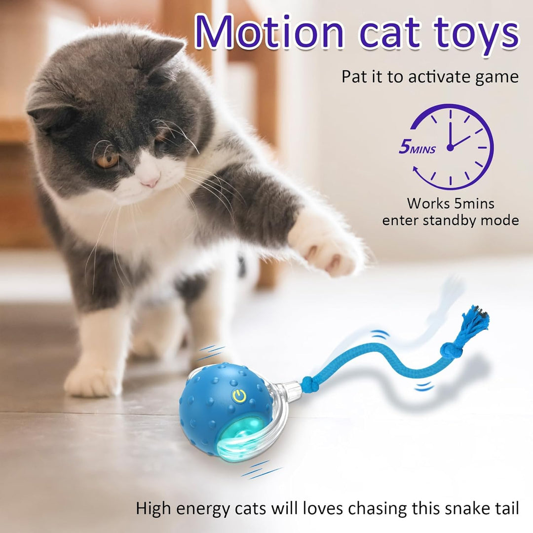 Interactive Cat Toys Ball for Indoor Automatic Fast Rolling on Carpet Chirping