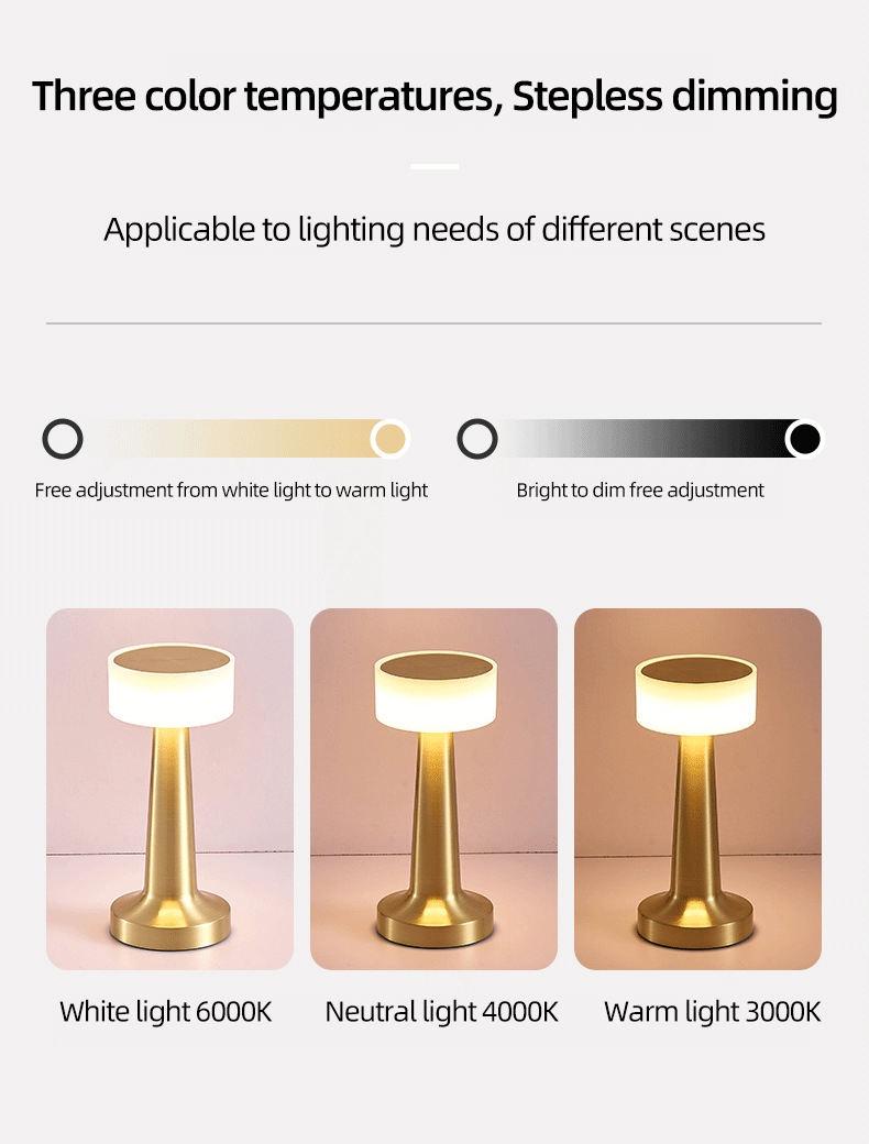 Ultra Luxury Slim & Sleek 3 Way Modes & Stepless Dimmable LED Touch Lamp