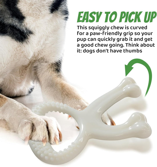 Aggressive Chewers, Indestructible Nylon Bone Dental Care Teeth Cleaning Chew Toy