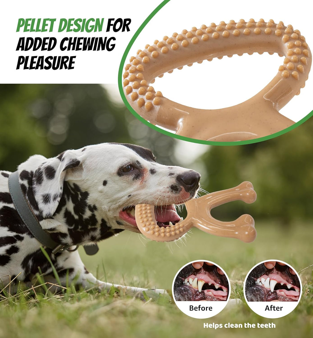 Aggressive Chewers, Indestructible Nylon Bone Dental Care Teeth Cleaning Chew Toy