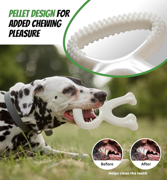 Aggressive Chewers, Indestructible Nylon Bone Dental Care Teeth Cleaning Chew Toy