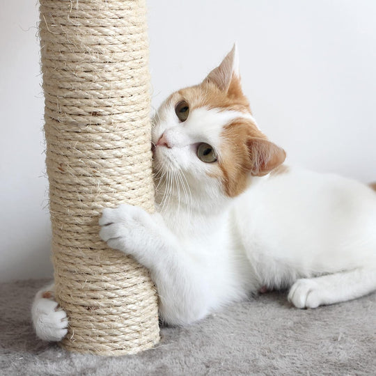 Furniture Scratching Deterrent for Indoor Cats Pad Base and Perch (MOQ 10 Sets)