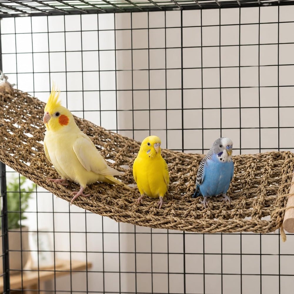Seagrass Bird Climbing Net Hammock – Natural Hand-Woven Parrot Ladder Bridge Cage Toy (MOQ 10 Sets)