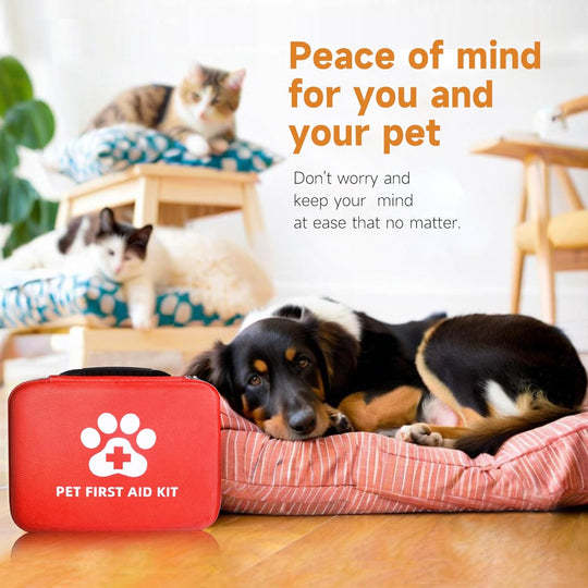 Dog First Aid Kit Your Best Friend's Emergency Essential (MOQ 10 Kits)