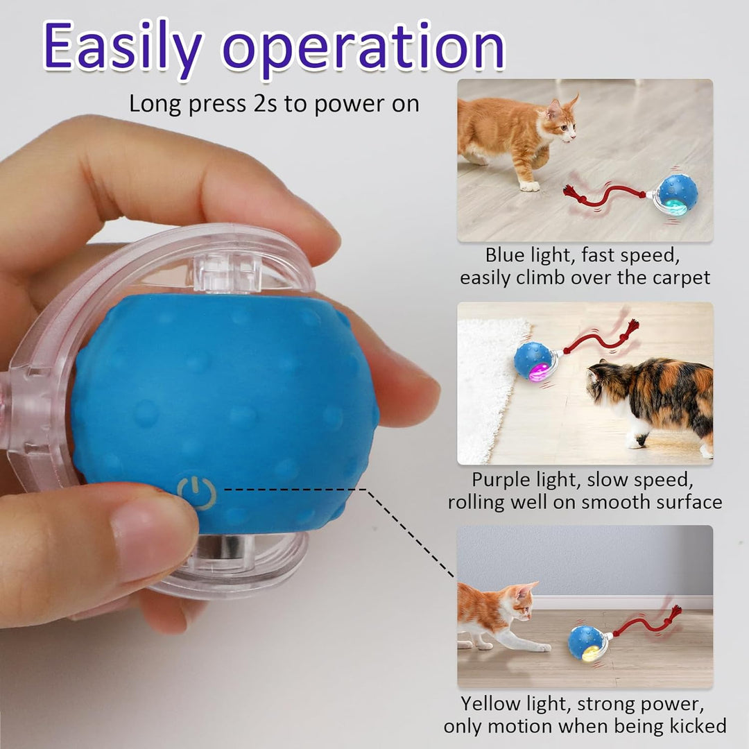 Interactive Cat Toys Ball for Indoor Automatic Fast Rolling on Carpet Chirping (10 Pack)