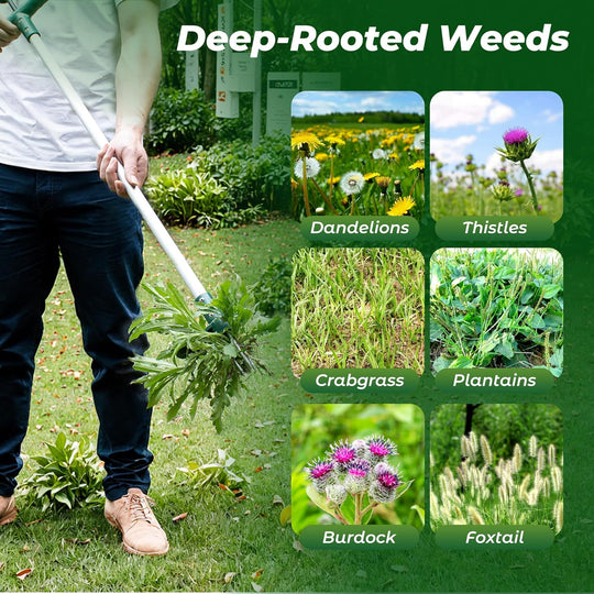 Heavy-Duty Manual Weed Puller Tool – Long Handle 3-Claw Garden Weed Remover with Ergonomic T-Handle