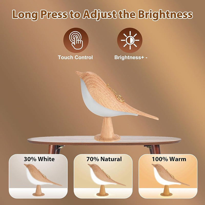 Night Light Aroma Diffuser with Bird Design Dimmable Detachable Sleep Aid Desktop Decor Ambient Lamp