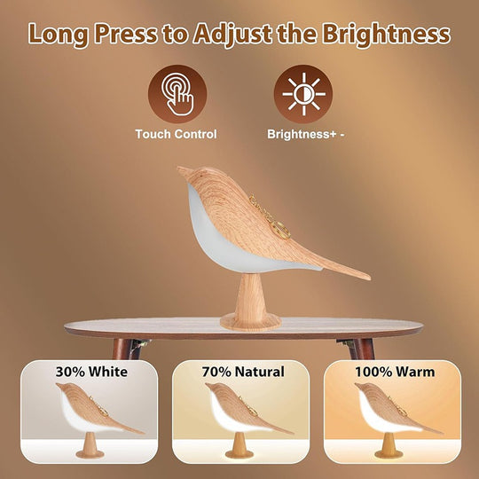 Night Light Aroma Diffuser with Bird Design Dimmable Detachable Sleep Aid Desktop Decor Ambient Lamp