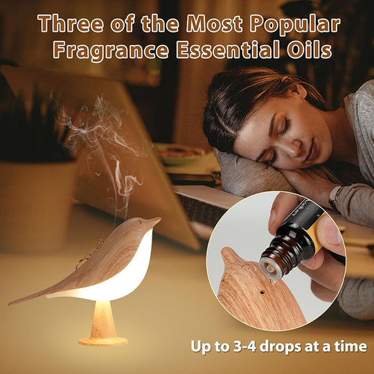 Night Light Aroma Diffuser with Bird Design Dimmable Detachable Sleep Aid Desktop Decor Ambient Lamp