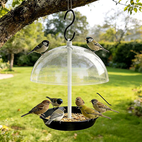 Outdoor Adjustable Platform Bird Feeder with Clear Dome