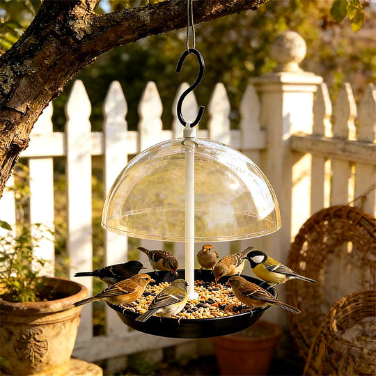 Outdoor Adjustable Platform Bird Feeder with Clear Dome