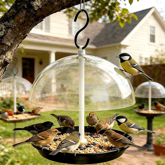 Outdoor Adjustable Platform Bird Feeder with Clear Dome