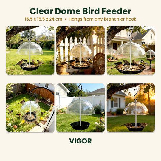 Outdoor Adjustable Platform Bird Feeder with Clear Dome