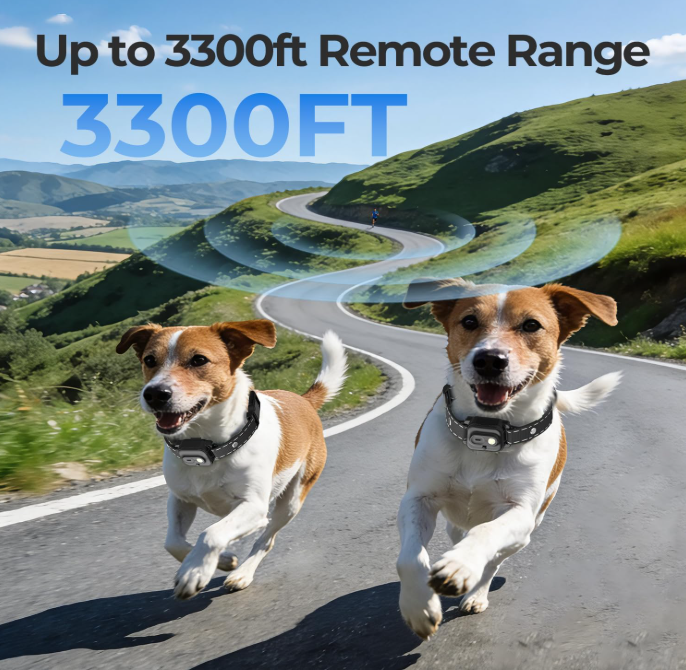 Dog Training Collar with Remote, 3300ft Range, Rechargeable IPX7 Waterproof E-Collar with Beep, Vibration, Static &amp; LED Light for Small, Medium &amp; Large Dogs (MOQ 10 sets)
