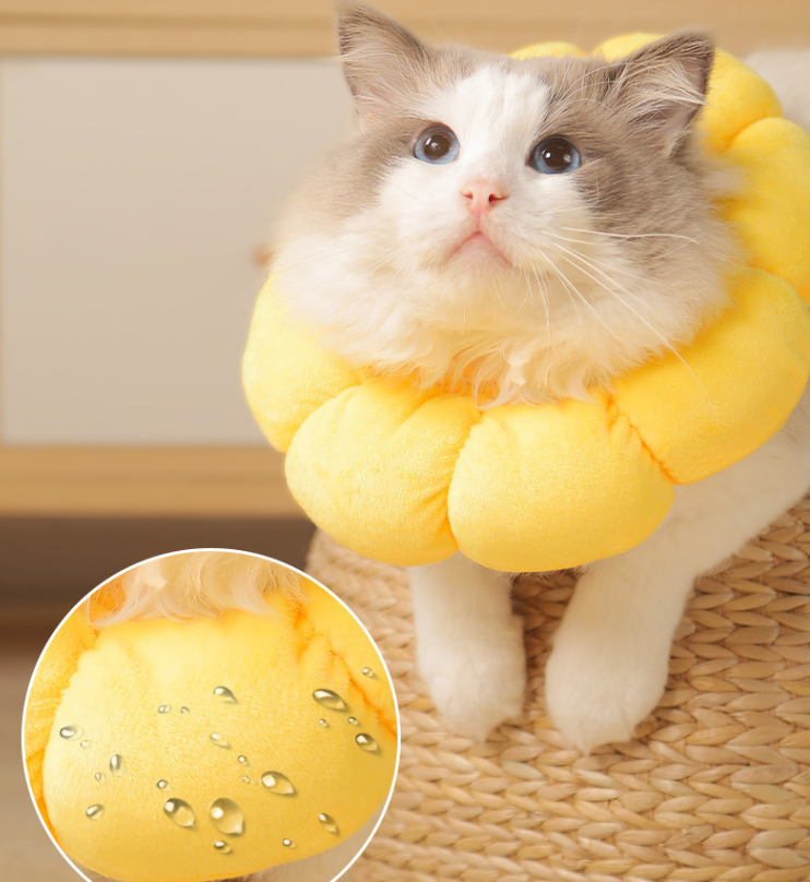 Cat Small Dog Recovery Collar, Cute Sunflower Neck Cone After Surgery, Adjustable Pet E Collar (MOQ 10 Sets)