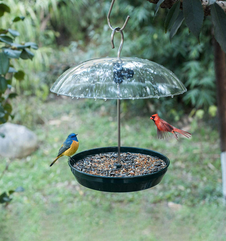Outdoor Adjustable Platform Bird Feeder with Clear Dome (MOQ 10 Sets)
