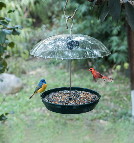 Outdoor Adjustable Platform Bird Feeder with Clear Dome (MOQ 10 Sets)