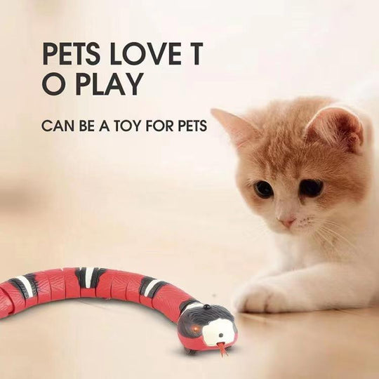 USB Rechargeable,Automatically Sense Obstacles and Escape,Electric Tricky Snake Cat Toys for Indoor Cats Dogs (MOQ 10 Sets)