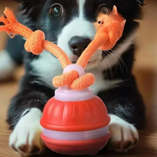 Interactive Rechargeable Dog Toy, 360° Smart Automatic Rolling Moving Toy for Bored Pets