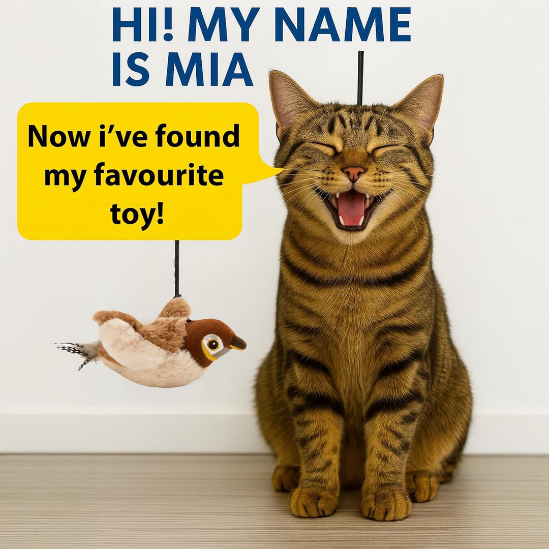 Chirping Toys Touch Activated Flapping Wings Sparrow Interactive Smart Cat Toys USB Exercise Pet Toys