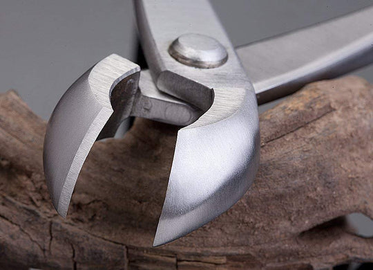 Stainless Steel Mixed Function of Knob Cutter and Branch Cutter Bonsai Tools