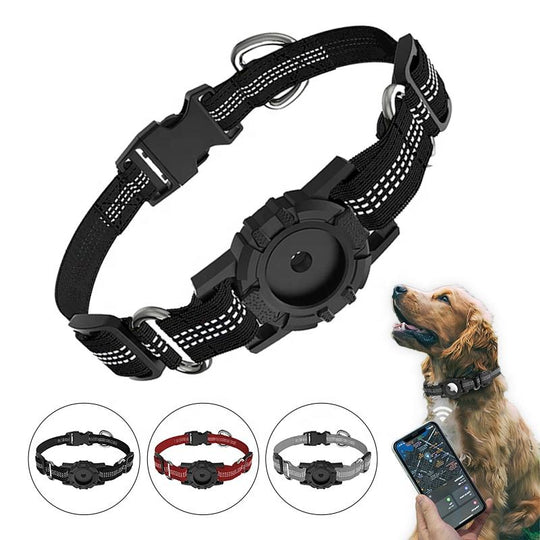 Dog Collar with AirTag Holder, Reflective Nylon, Quick Release Buckle (MOQ 10 Sets)
