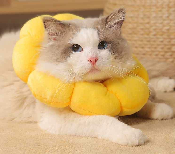 Cat Small Dog Recovery Collar, Cute Sunflower Neck Cone After Surgery, Adjustable Pet E Collar (MOQ 10 Sets)