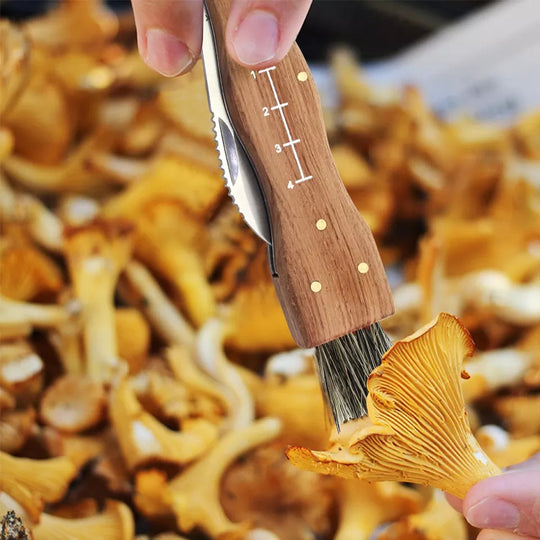 Folding Camping Hunting Truffles Harvest Sharp Knives Natural Wood Handle Pocket knife