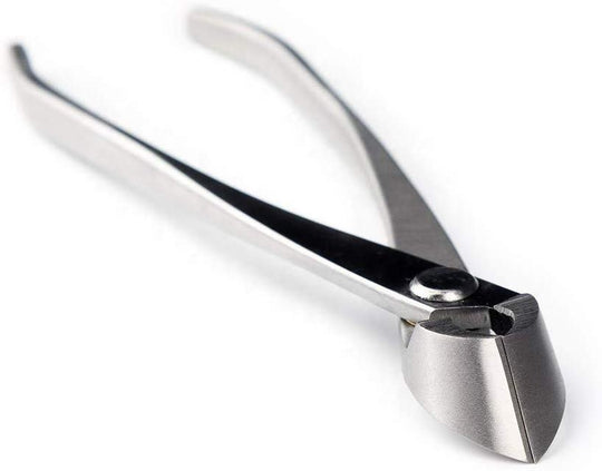 Stainless Steel Mixed Function of Knob Cutter and Branch Cutter Bonsai Tools