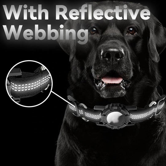Dog Collar with AirTag Holder, Reflective Nylon, Quick Release Buckle (MOQ 10 Sets)