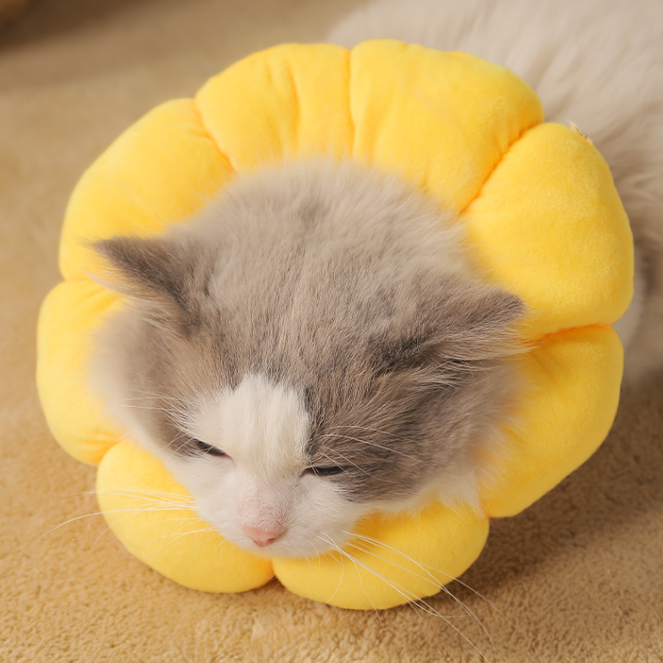 Cat Small Dog Recovery Collar, Cute Sunflower Neck Cone After Surgery, Adjustable Pet E Collar (MOQ 10 Sets)