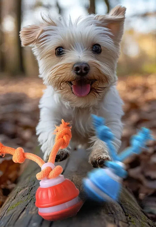 Interactive Rechargeable Dog Toy, 360° Smart Automatic Rolling Moving Toy for Bored Pets