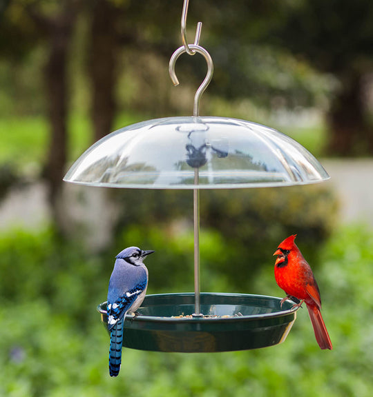 Outdoor Adjustable Platform Bird Feeder with Clear Dome (MOQ 10 Sets)