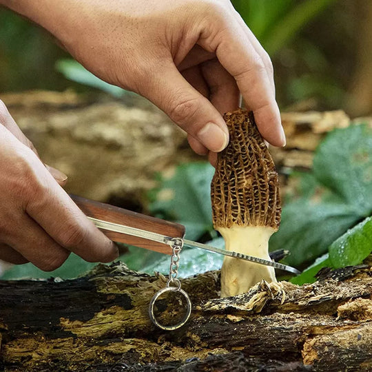 Folding Camping Hunting Truffles Harvest Sharp Knives Natural Wood Handle Pocket knife