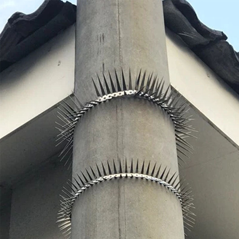 Outdoor Stainless Steel Garden Fence Spikes and Wall