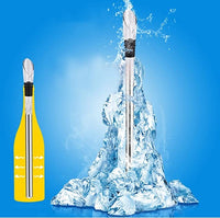 Premium Stainless Steel Bottle Cooler Stick Chill Rod Decanting Aerator & Drip-Free Pourer