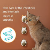 Catnip Balls Cat Mint Wall Stick-on Ball Toy Healthy Removes Hair Balls to Promote Digestion Cat Grass Snack