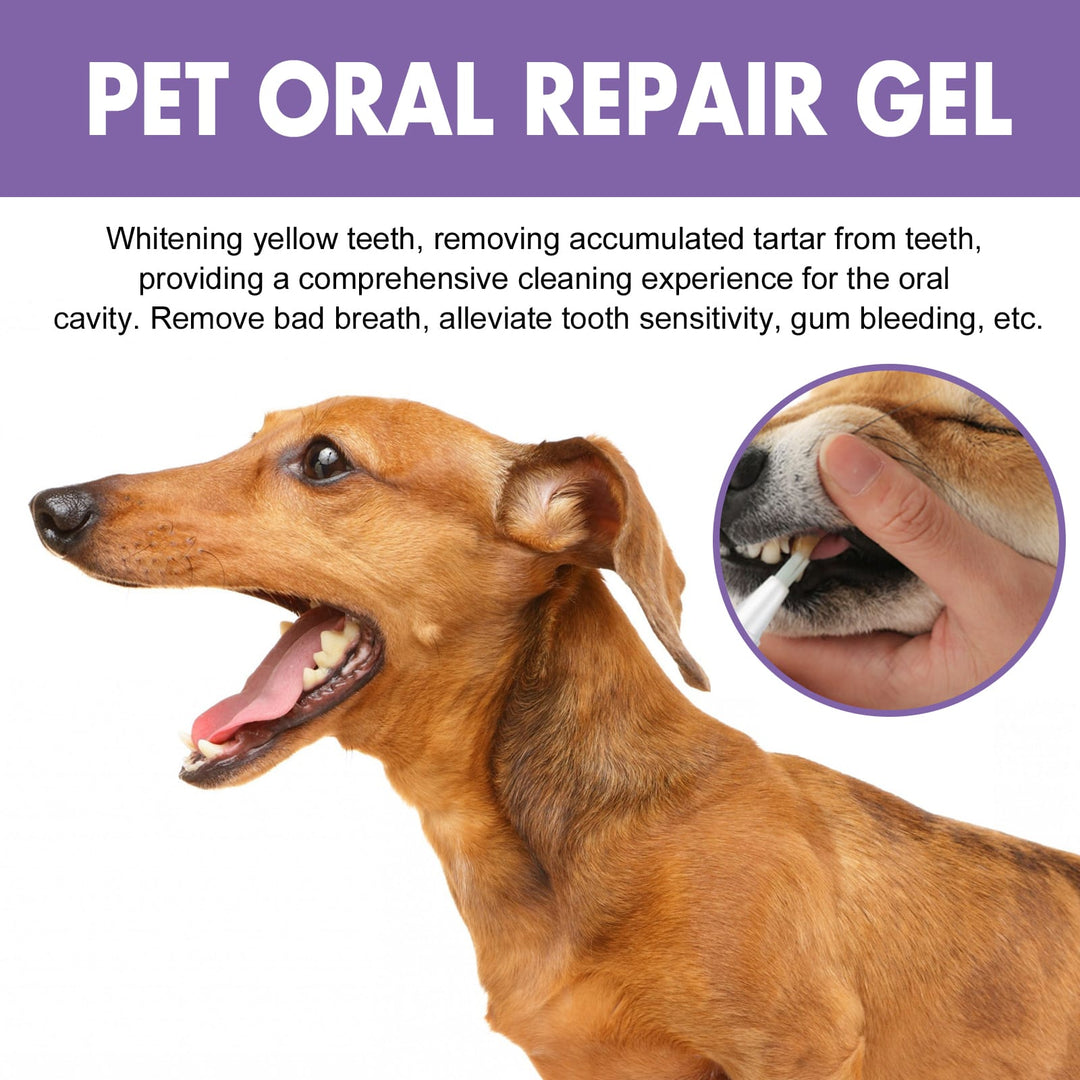 Pet Oral Repair Gel - 100% Natural Deep Cleansing Care For Dog, Cat Dental Stains Cleaner Pet Teeth Cleaning(Bulk 3 Sets)
